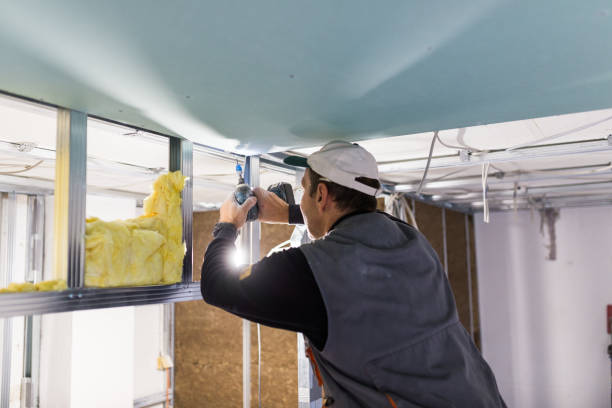 Best Insulation Maintenance and Repair in Alamo Heights, TX