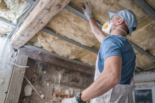 Alamo Heights, TX Insulation Contractor Pros
