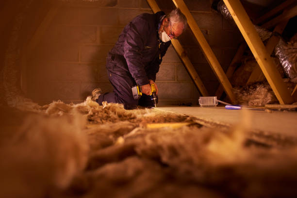 Best Energy Efficiency Solutions in Alamo Heights, TX